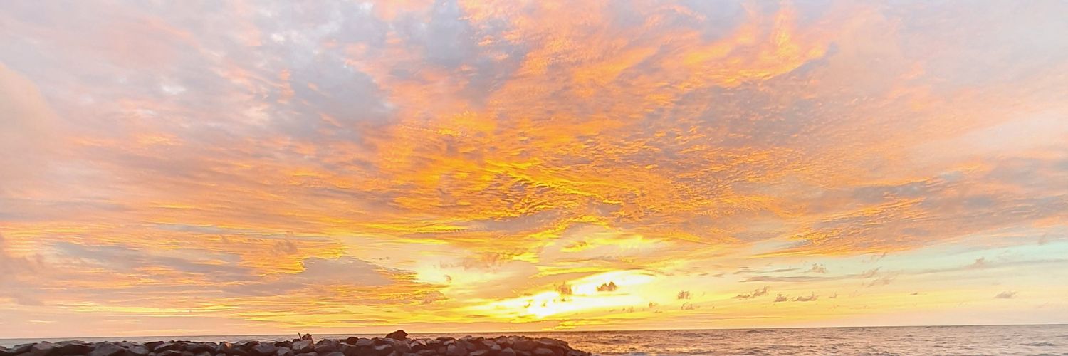 lahiruperera555's profile banner image