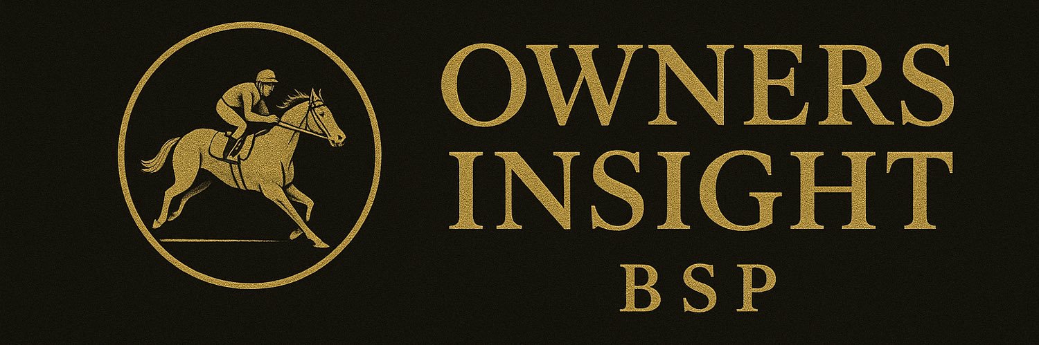 Owners Insight - BSP banner