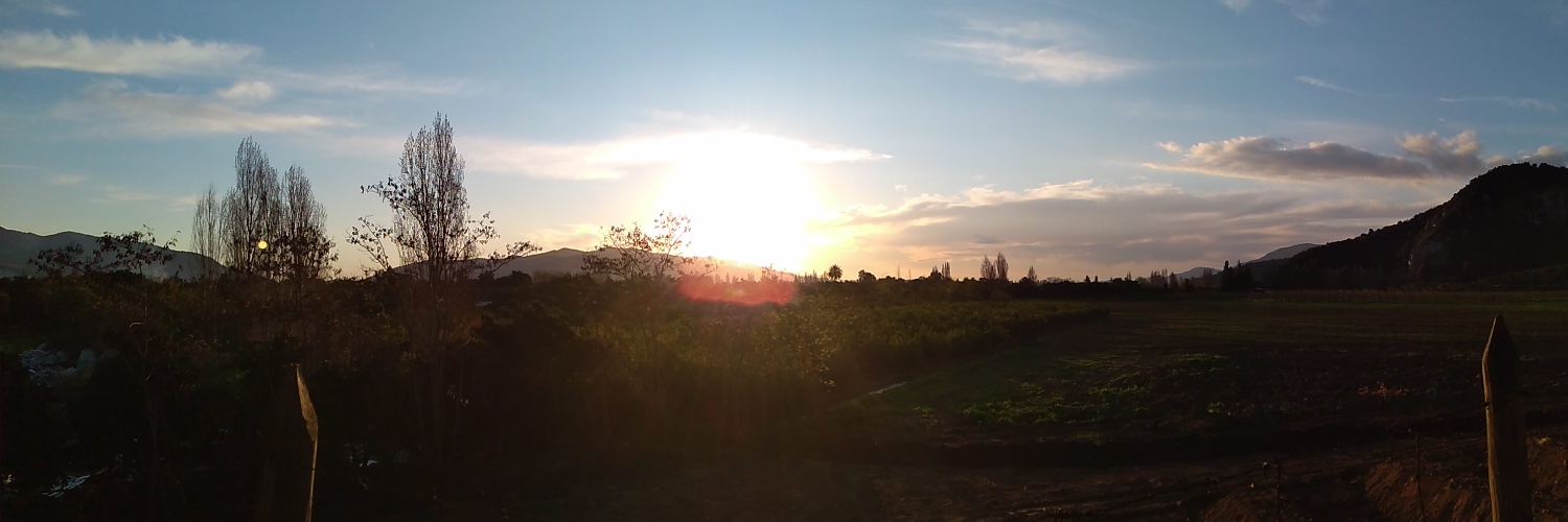 rodrigonilo's profile banner image