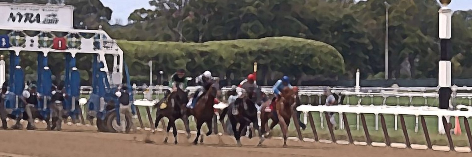 Robert J Newman banner