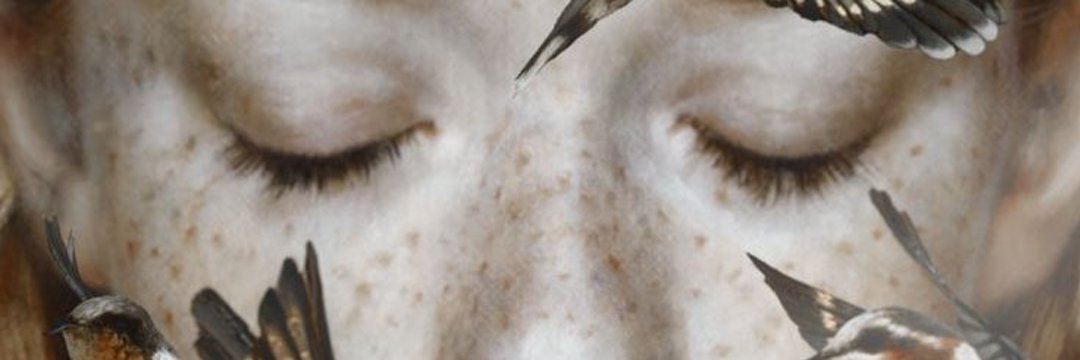 Wallace banner