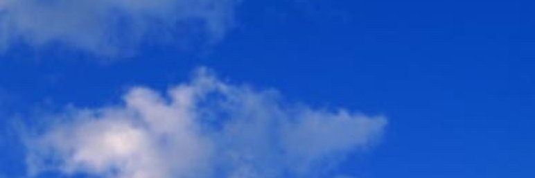 Sheyla Castro Milic banner