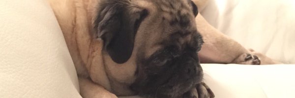 annamwaugh Profile Banner