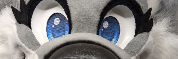 Sapphire Husky banner