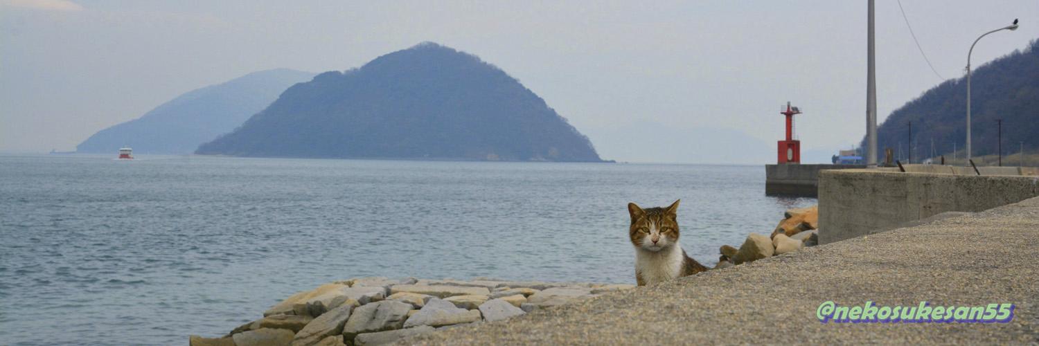 nekosukesan55's profile banner image