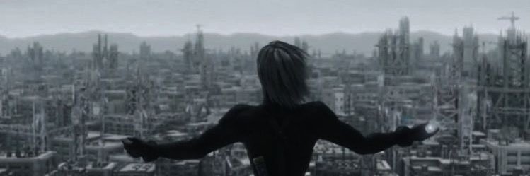 pleooo banner