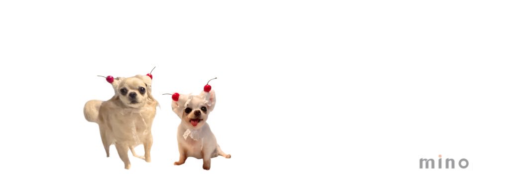 minopet_jp's profile banner image