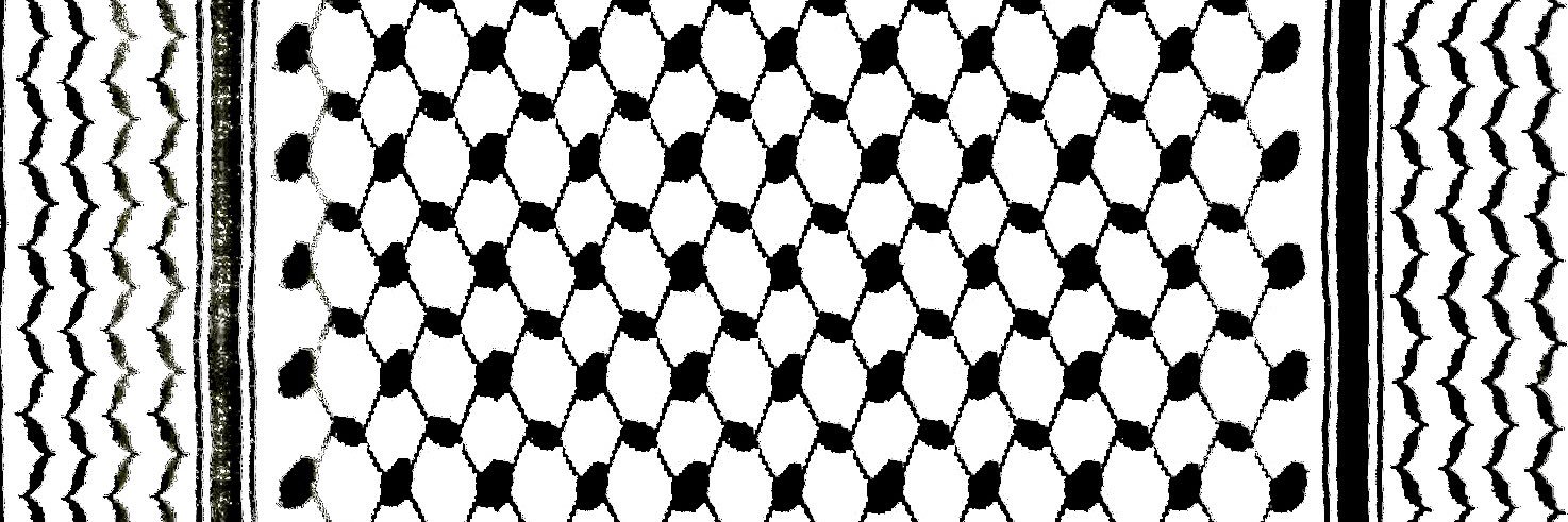 Asamblea Interuniversitaria y Popular x Palestina banner