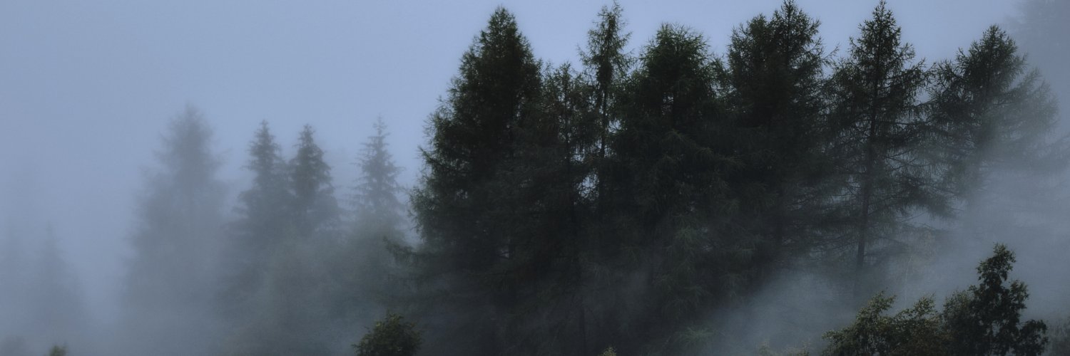 xX EverettRiott Xx banner