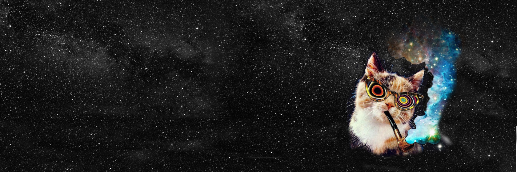 c7d5a6's profile banner image