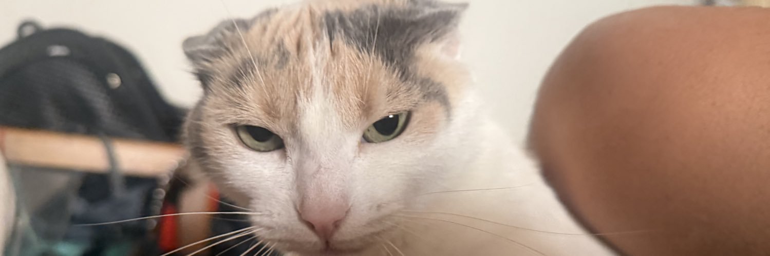 katecasas19's profile banner image