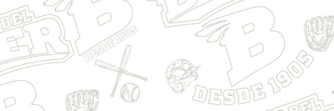 INDIOS DEL BOER banner
