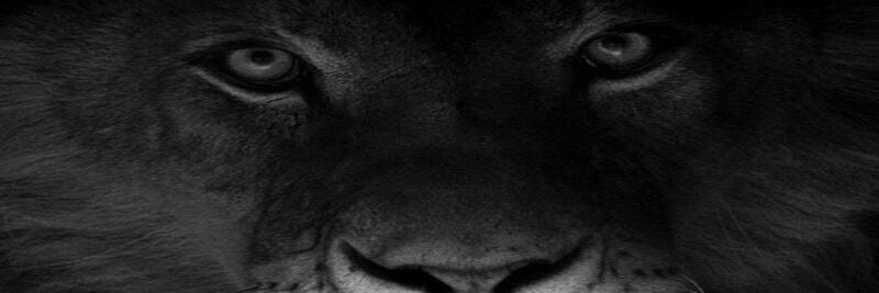 Juan_fralm's profile banner image