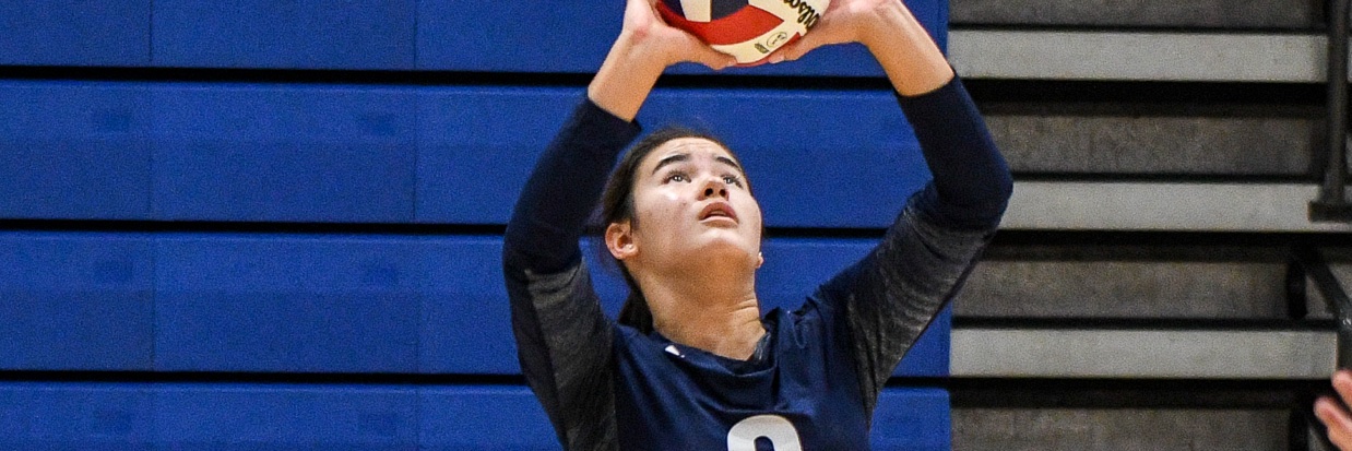 Sofie Ferrell banner