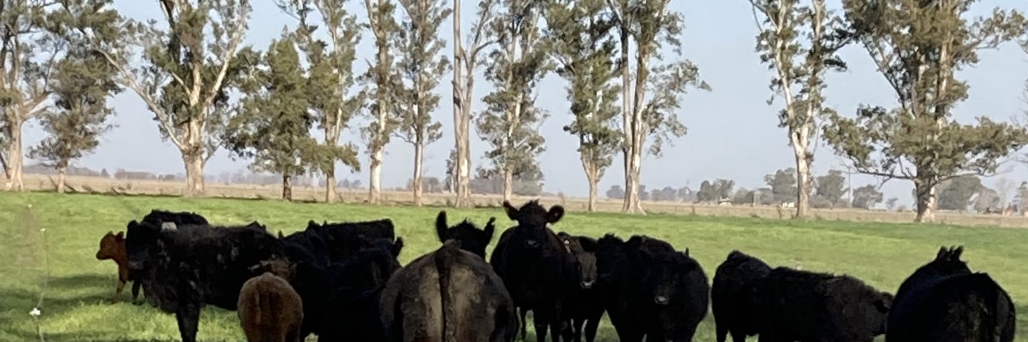 Lucre Puig 🌱🔬💚 banner