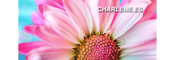 CHARLENE banner