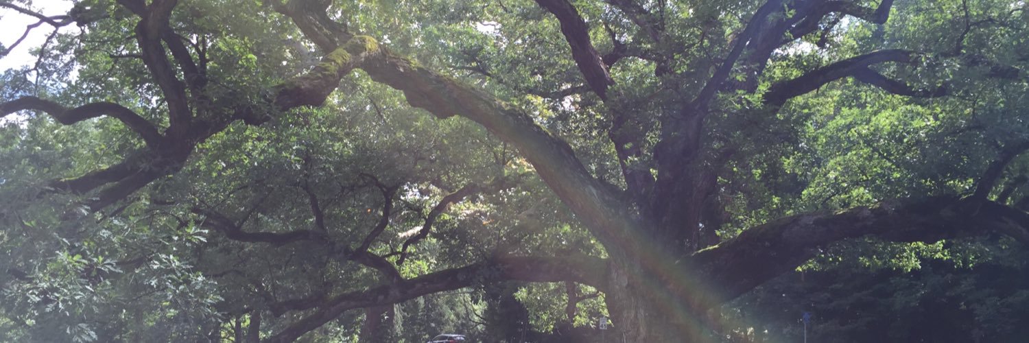tpheth's profile banner image