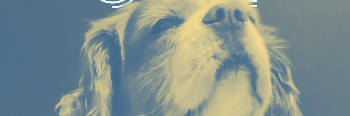 Melypop's profile banner image