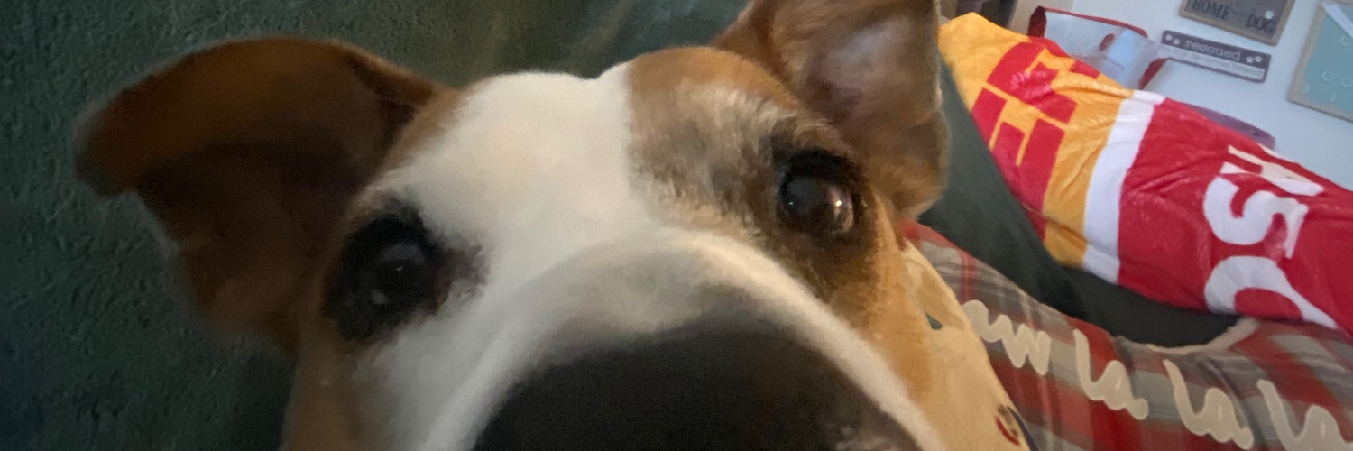 JennnaFulks's profile banner image