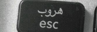 fffvbfgh's profile banner image