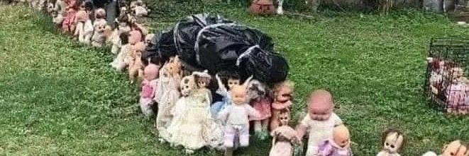 🖤🕸️🦷Tiger'hysope du Chaos🦷🕸️🖤 banner