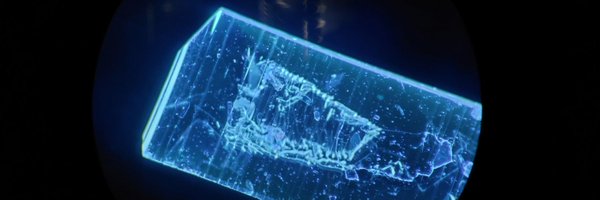 iccoss2025 Profile Banner