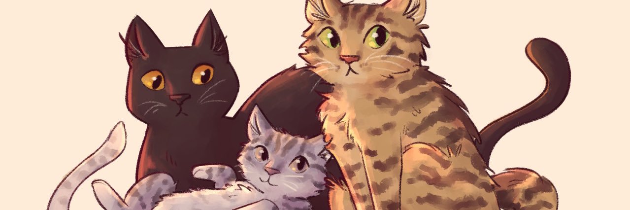 sofialvarezgras's profile banner image