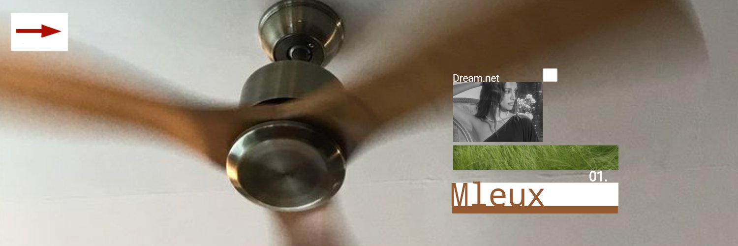 mleuxc's profile banner image