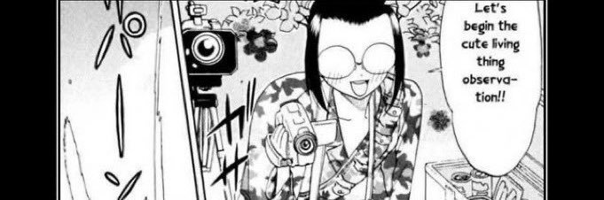 purin banner