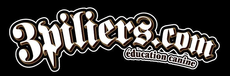 3piliers's profile banner image