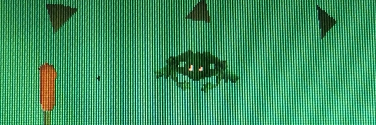 funkisnotdeadd's profile banner image