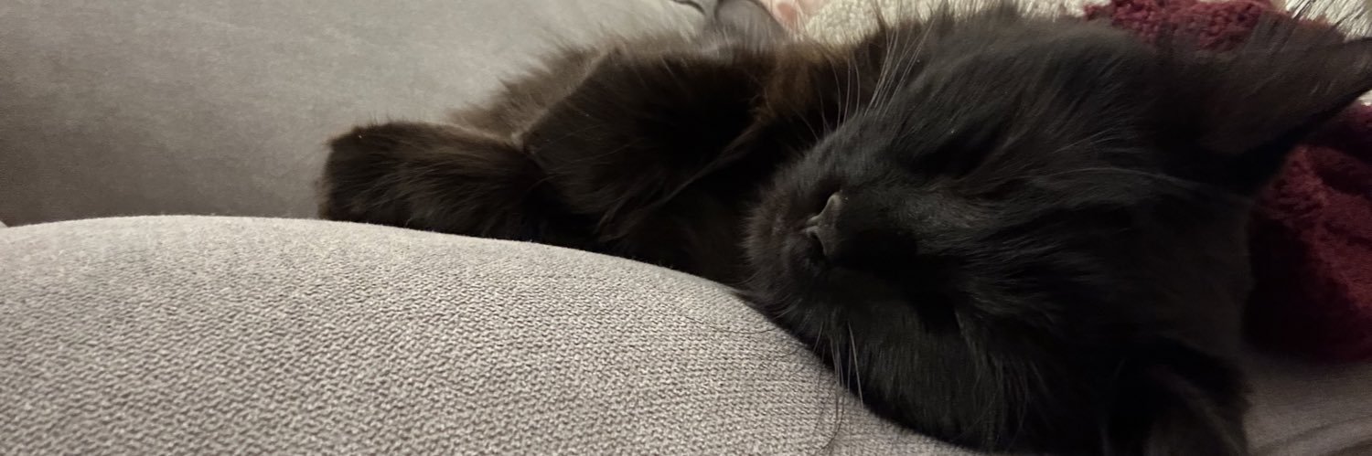 Chris “$8 peasant” Jones banner