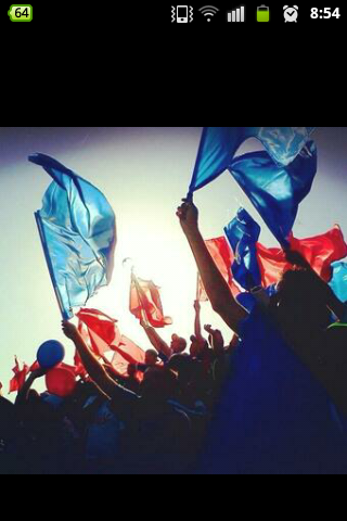 Universidad de Chile banner