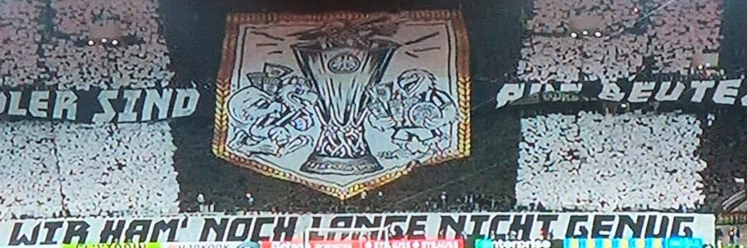 Willi 🦅 banner