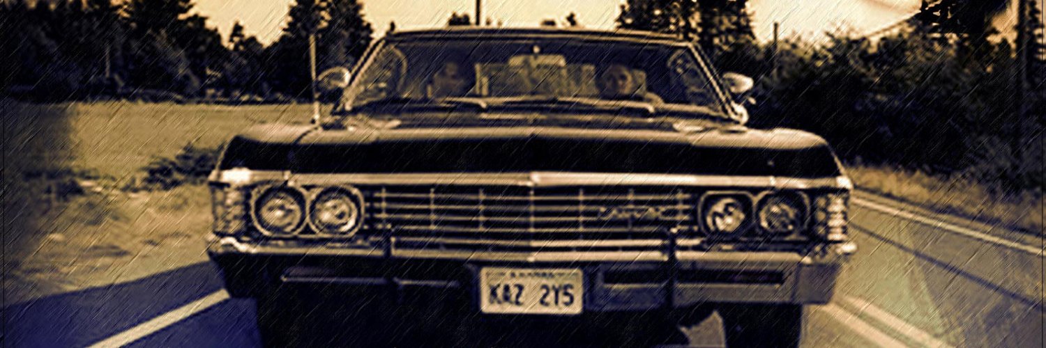 lilmamaACA's profile banner image