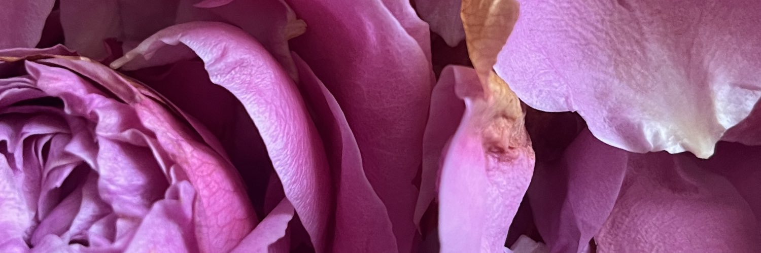 Міла's banner