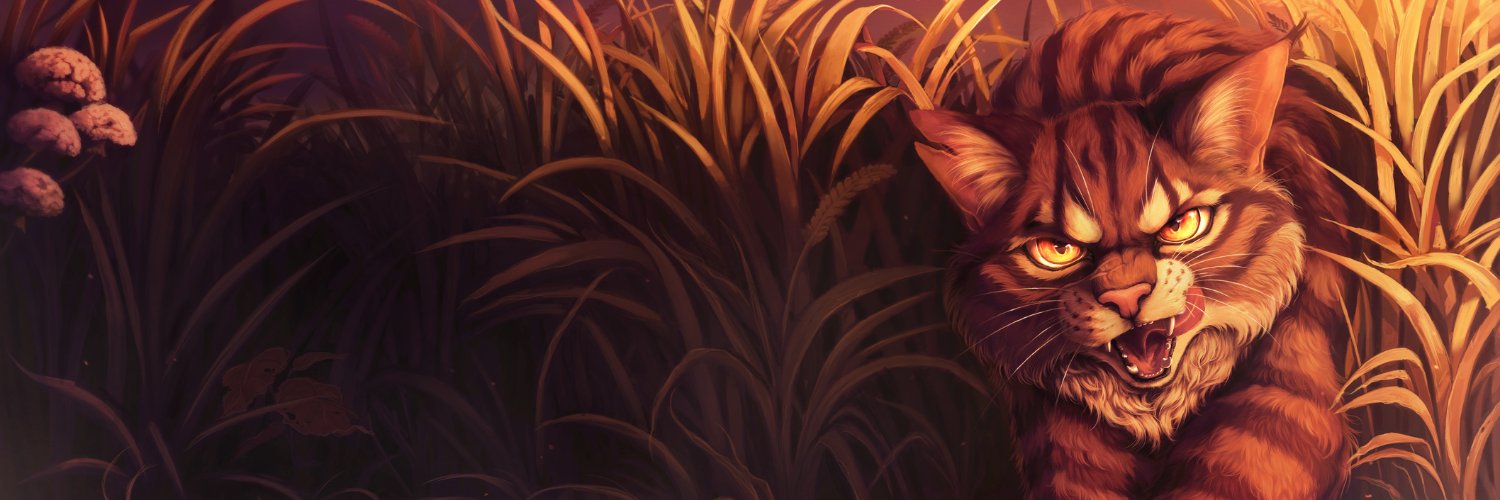 Polish Warrior Cats 🇵🇱 banner