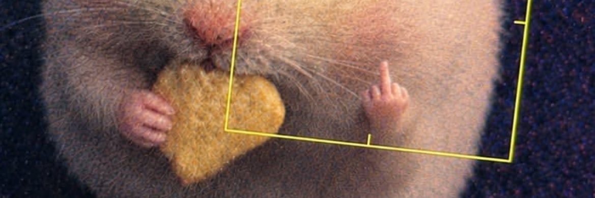 sugarrushh___'s profile banner image