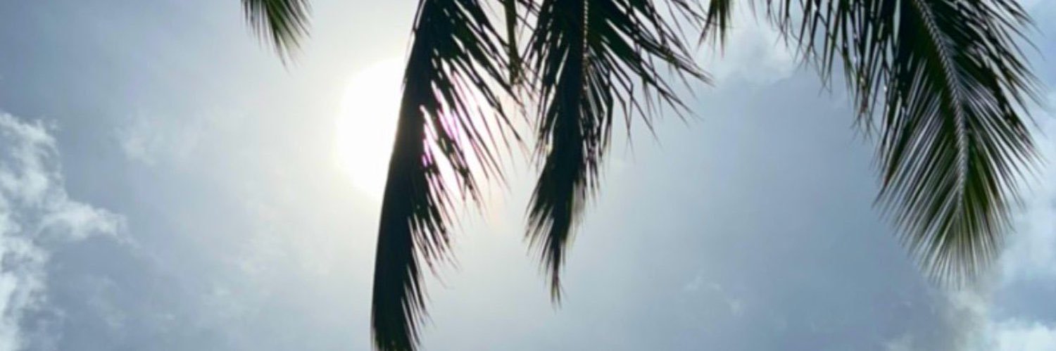 zonamaeeeeeeee's profile banner image