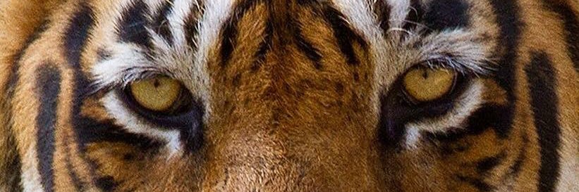 dineshkumar_u's profile banner image