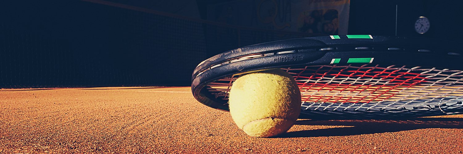 Ana Sofía Sánchez banner