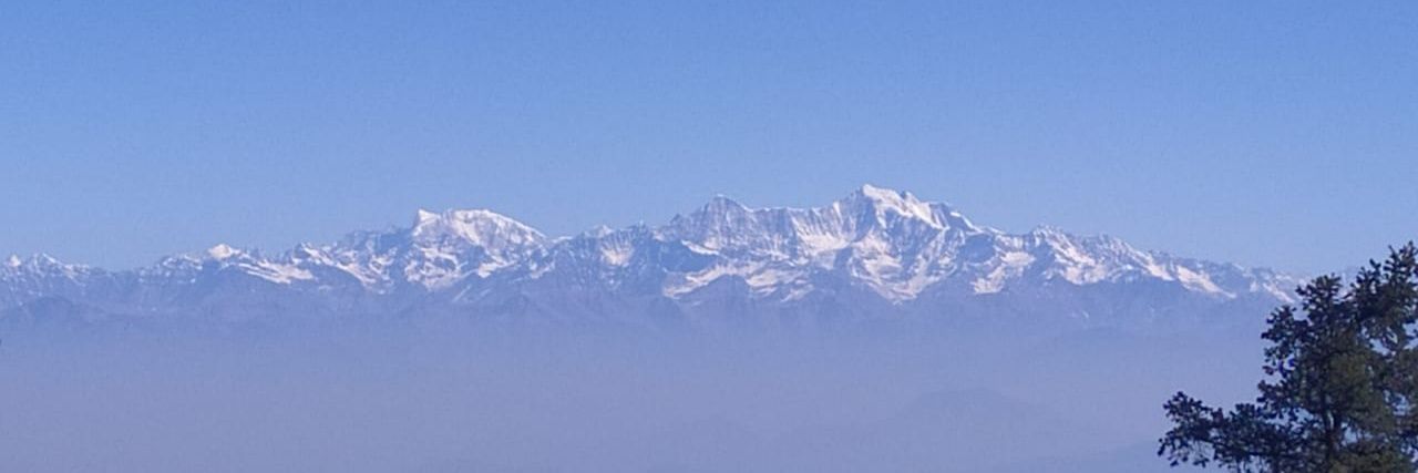 Nitin Joshi | नितिन जोशी banner