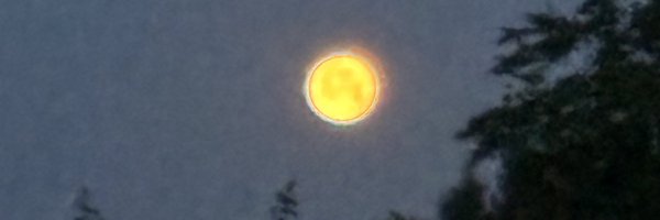 Gnostic_Sapper Profile Banner