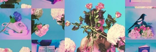 NicoleHedley's profile banner image