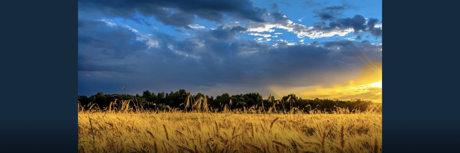 TocTai 🇺🇦 banner