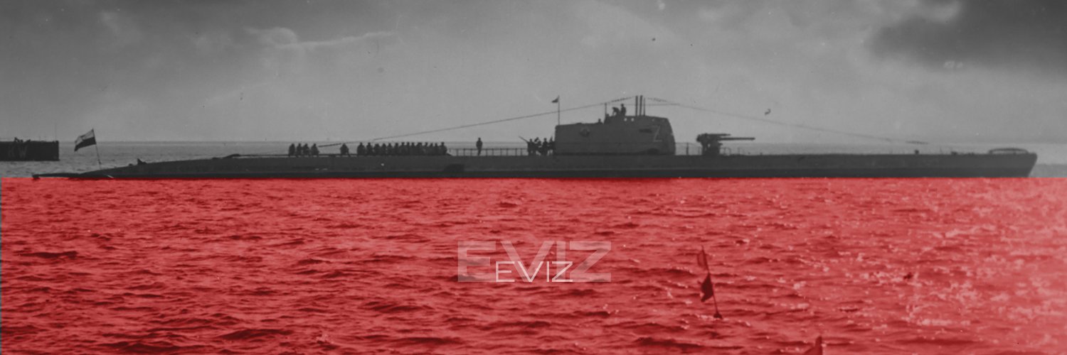 Eviz banner