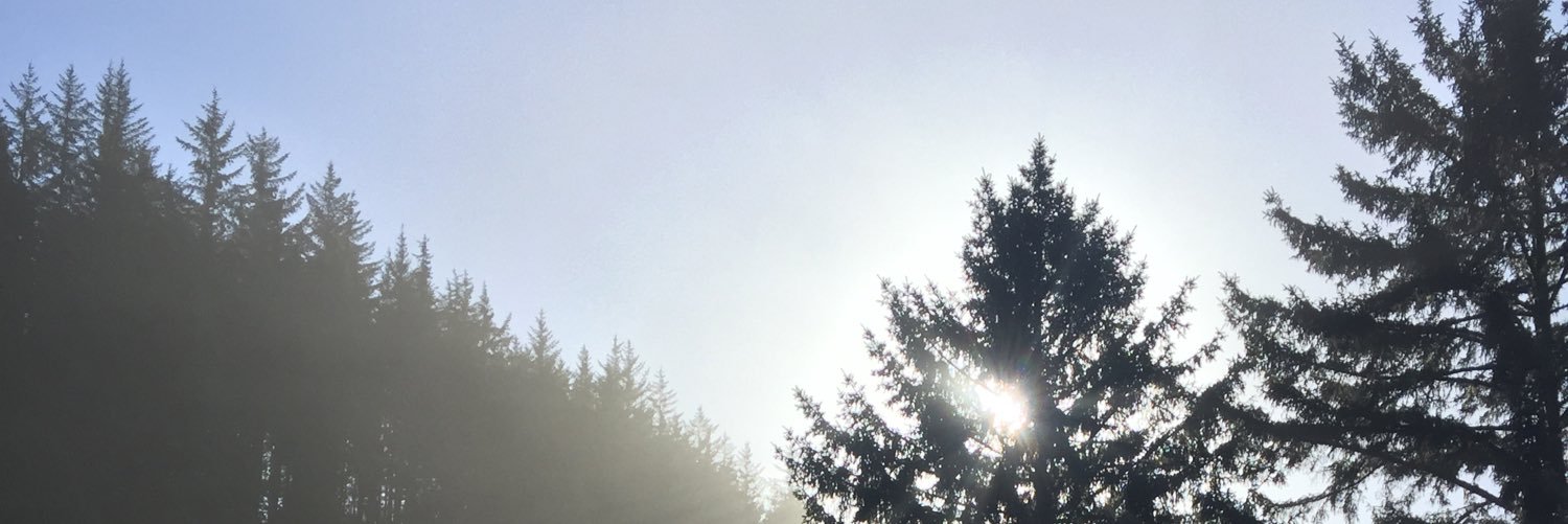 ryansherod's profile banner image