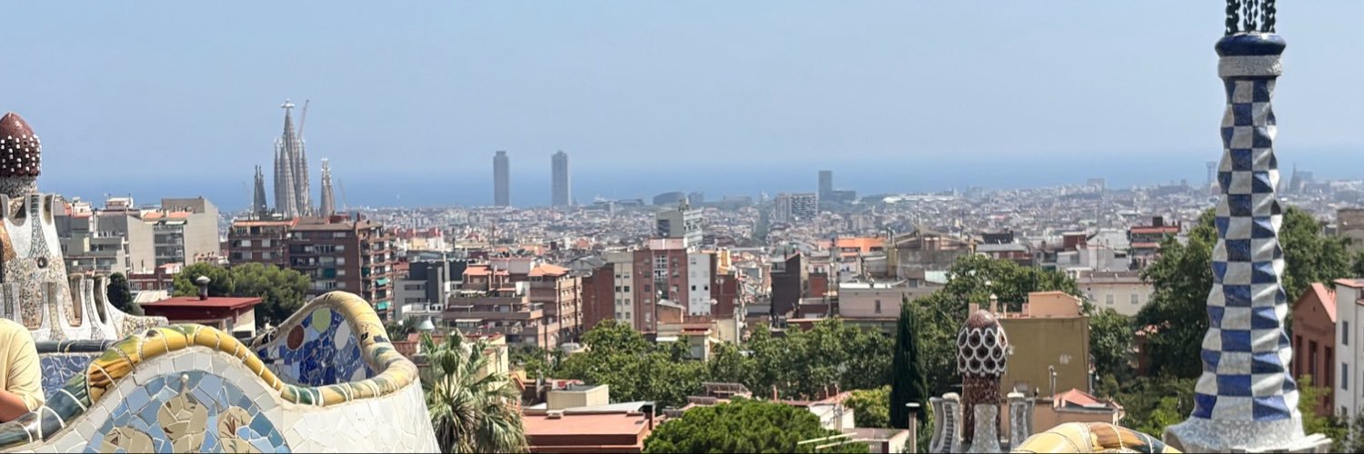 AydanBascaliskn's profile banner image