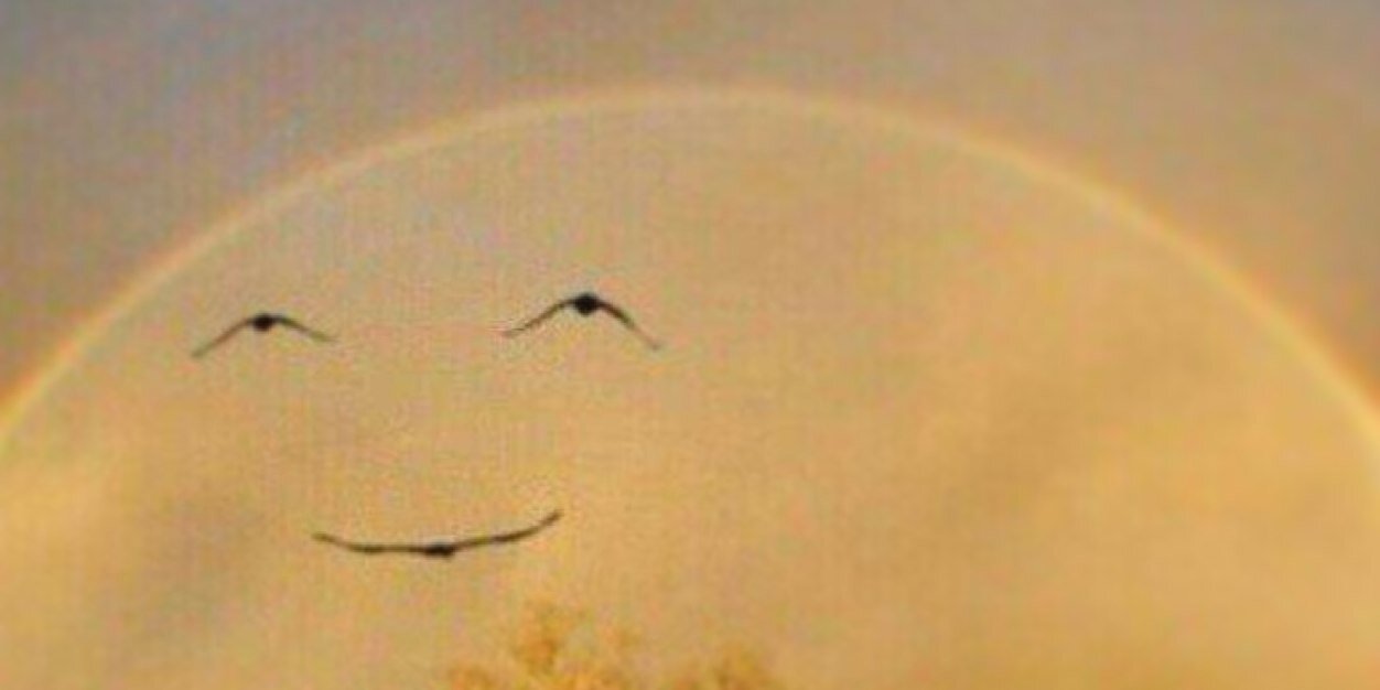 Luiskmarquez's profile banner image