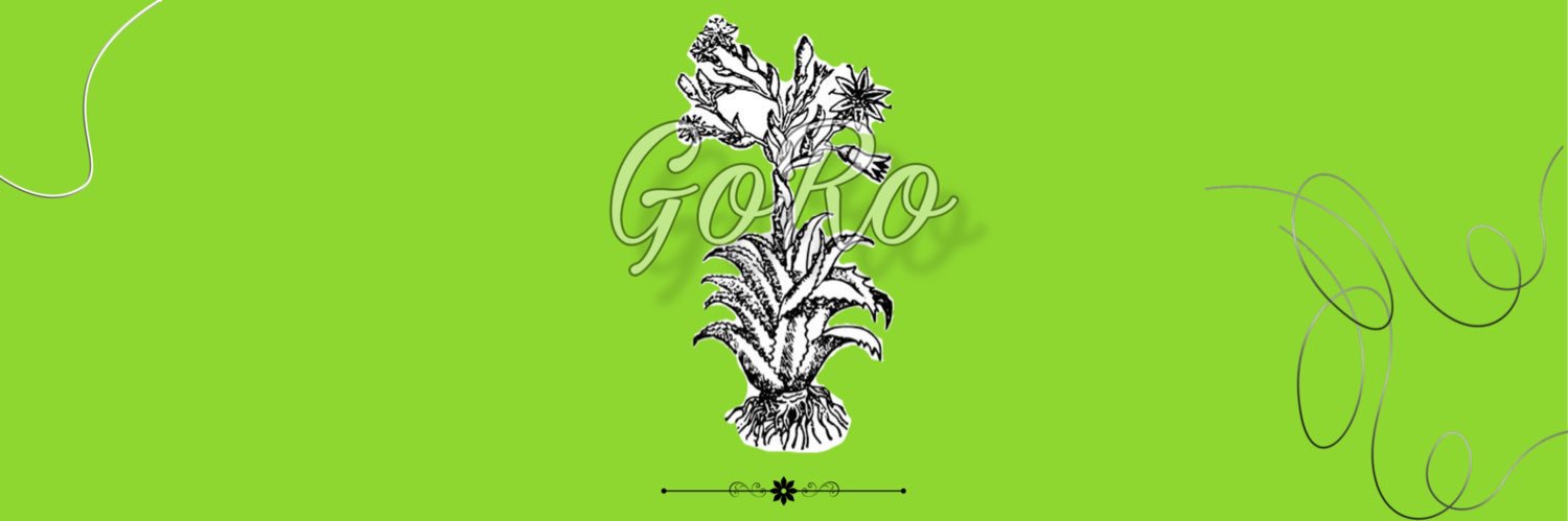 Claudio_GoRo's profile banner image